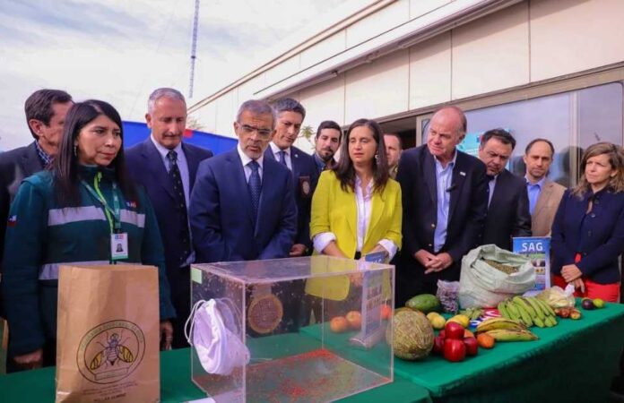 Gobierno presenta el Plan “NO a la mosca de la fruta, Chile exporta confianza”