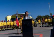 Gobierno presenta plan de acción para enfrentar incendios forestales en la Región del Biobío: inversión supera los $23 mil millones