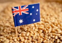 GrainCorp insta a reformar la cadena de suministro agrícola australiana