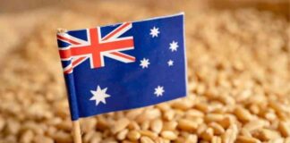GrainCorp insta a reformar la cadena de suministro agrícola australiana