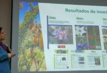 INIA Intihuasi realiza charla magistral sobre biodiversidad y conservación ex-situ de la flora nativa