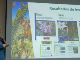 INIA Intihuasi realiza charla magistral sobre biodiversidad y conservación ex-situ de la flora nativa