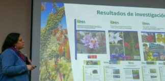 INIA Intihuasi realiza charla magistral sobre biodiversidad y conservación ex-situ de la flora nativa