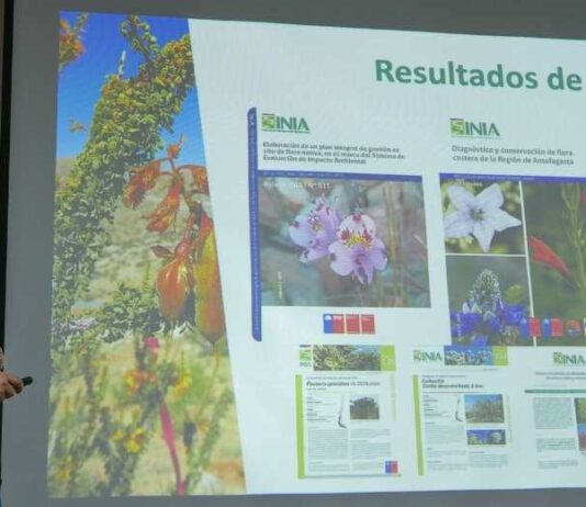 INIA Intihuasi realiza charla magistral sobre biodiversidad y conservación ex-situ de la flora nativa