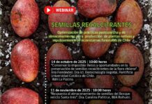 INIA La Platina continua con el ciclo de webinars sobre conservación de semillas recalcitrantes de la flora nativa chilena