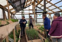 INIA Remehue presta apoyo a Invernadero Comunitario del sector Quinto Centenario en Osorno