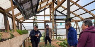 INIA Remehue presta apoyo a Invernadero Comunitario del sector Quinto Centenario en Osorno