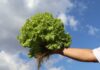 INIA presenta nuevo informativo sobre agroecología: ciencia, territorio y futuro sostenible