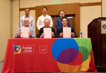 Industrias de la uva de Perú, México y Chile lanzan oficialmente el Global Grape Group (GGG)