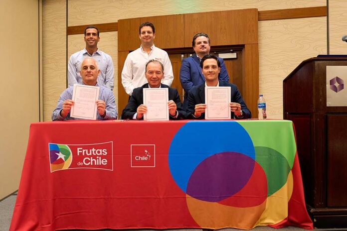 Industrias de la uva de Perú, México y Chile lanzan oficialmente el Global Grape Group (GGG)