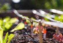 Inseguridad alimentaria y precariedad