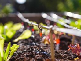 Inseguridad alimentaria y precariedad