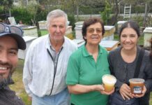 Investigación analizó la salud de abejas a través de su sonido y sistema inmune