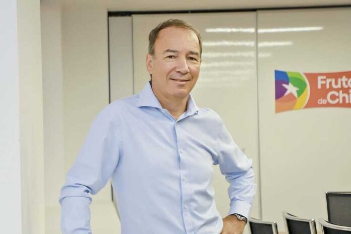 Iván Marambio es reelegido presidente de Frutas de Chile