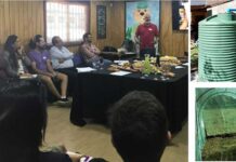 Jóvenes rurales de Angol impulsan cultivo inteligente con agua lluvia e hidroponía gracias a proyecto FIA–UMayor