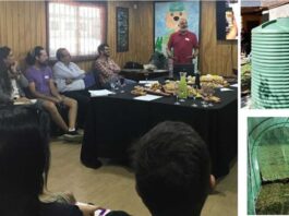 Jóvenes rurales de Angol impulsan cultivo inteligente con agua lluvia e hidroponía gracias a proyecto FIA–UMayor