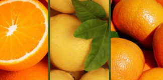 La Organización Mundial de Cítricos plantea inquietudes sobre los criterios privados de seguridad alimentaria y su impacto en el sector citrícola