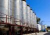 La UE busca oportunidades agroalimentarias en Brasil
