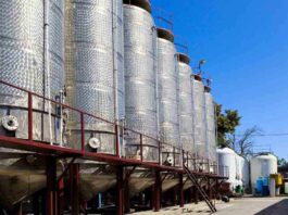 La UE busca oportunidades agroalimentarias en Brasil La UE busca oportunidades agroalimentarias en Brasil
