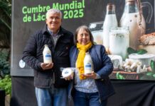 Las medallas que pusieron a Atacama en el Mapa de los quesos a nivel mundial.