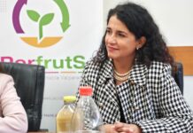 Expertos del agro de la Región de Valparaíso defienden la rigurosidad chilena tras fallo en Estados Unidos: “El Systems Approach funciona y está probado”