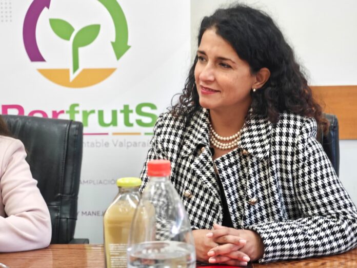 Expertos del agro de la Región de Valparaíso defienden la rigurosidad chilena tras fallo en Estados Unidos: “El Systems Approach funciona y está probado”