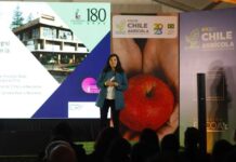 Más de 900 actividades en ocho años: Los grandes números de Expo Chile Agrícola