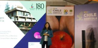 Más de 900 actividades en ocho años: Los grandes números de Expo Chile Agrícola