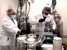 Mercado Mayorista Lo Valledor y la UBO convierten descartes de verduras en sopas nutritivas Mercado Mayorista Lo Valledor y la UBO convierten descartes de verduras en sopas nutritivas