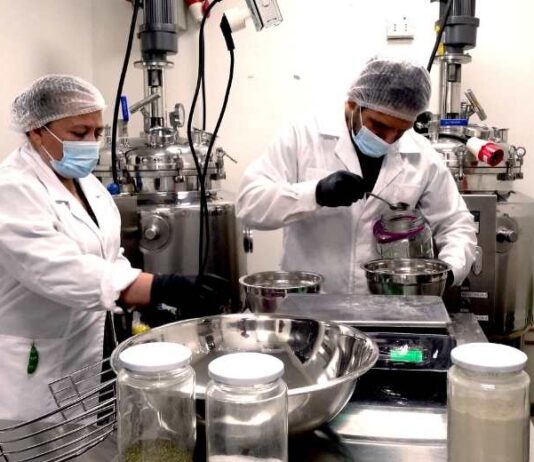 Mercado Mayorista Lo Valledor y la UBO convierten descartes de verduras en sopas nutritivas Mercado Mayorista Lo Valledor y la UBO convierten descartes de verduras en sopas nutritivas