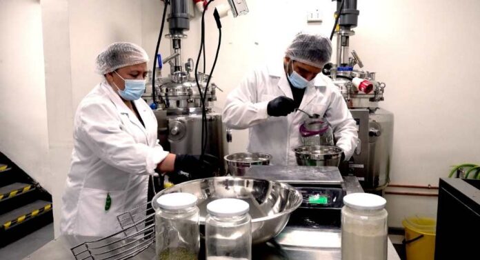 Mercado Mayorista Lo Valledor y la UBO convierten descartes de verduras en sopas nutritivas