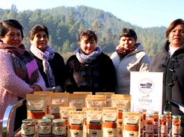 Merkén, mieles y mermeladas: los productos del Biobío que serán parte de la 25ª Expo Mundo Rural de INDAP