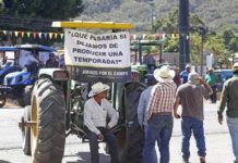 México  | Miles de agricultores protestan durante horas en una veintena de Estados de México por los bajos precios México | Miles de agricultores protestan durante horas en una veintena de Estados de México por los bajos precios