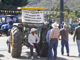 México  | Miles de agricultores protestan durante horas en una veintena de Estados de México por los bajos precios México | Miles de agricultores protestan durante horas en una veintena de Estados de México por los bajos precios