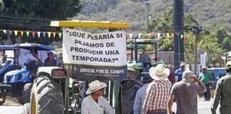 México | Miles de agricultores protestan durante horas en una veintena de Estados de México por los bajos precios