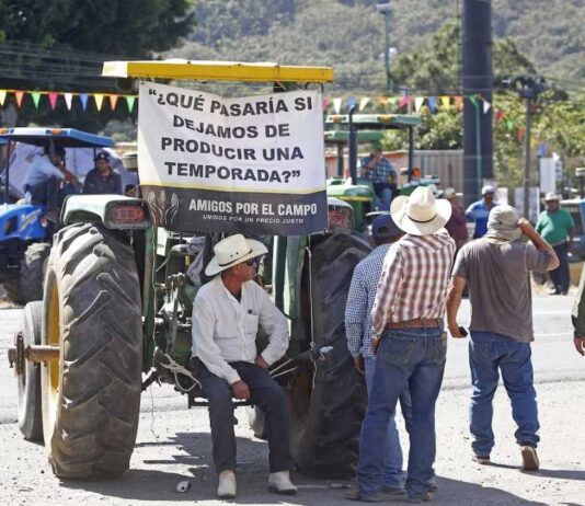 México | Miles de agricultores protestan durante horas en una veintena de Estados de México por los bajos precios