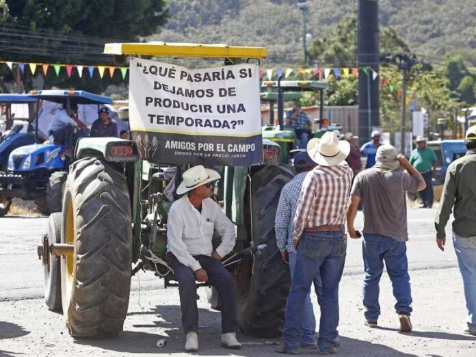 México Miles de agricultores protestan durante horas en una veintena de Estados de México por los bajos precios México | Miles de agricultores protestan durante horas en una veintena de Estados de México por los bajos precios
