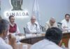 México Sinaloa se prepara para la cosecha de maíz blanco en 2026