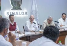 México Sinaloa se prepara para la cosecha de maíz blanco en 2026