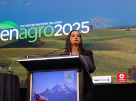 Ministra Fernández destaca dinamismo del sector silvoagropecuario en ENAGRO: «El crecimiento de 5,8% refleja la fuerza y resiliencia de nuestra agricultura» Ministra Fernández destaca dinamismo del sector silvoagropecuario en ENAGRO El crecimiento de 5,8% refleja la fuerza y resiliencia de nuestra agricultura