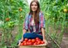 Nueva herramienta digital de Odepa promueve la equidad de género en el agro Nueva herramienta digital de Odepa promueve la equidad de género en el agro