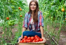 Nueva herramienta digital de Odepa promueve la equidad de género en el agro Nueva herramienta digital de Odepa promueve la equidad de género en el agro