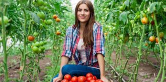 Nueva herramienta digital de Odepa promueve la equidad de género en el agro