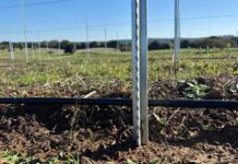 POSTE AZA impulsa la eficiencia en el agro chileno POSTE AZA impulsa la eficiencia en el agro chileno