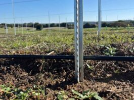 POSTE AZA impulsa la eficiencia en el agro chileno POSTE AZA impulsa la eficiencia en el agro chileno