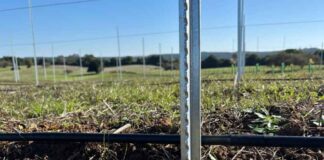 POSTE AZA impulsa la eficiencia en el agro chileno POSTE AZA impulsa la eficiencia en el agro chileno