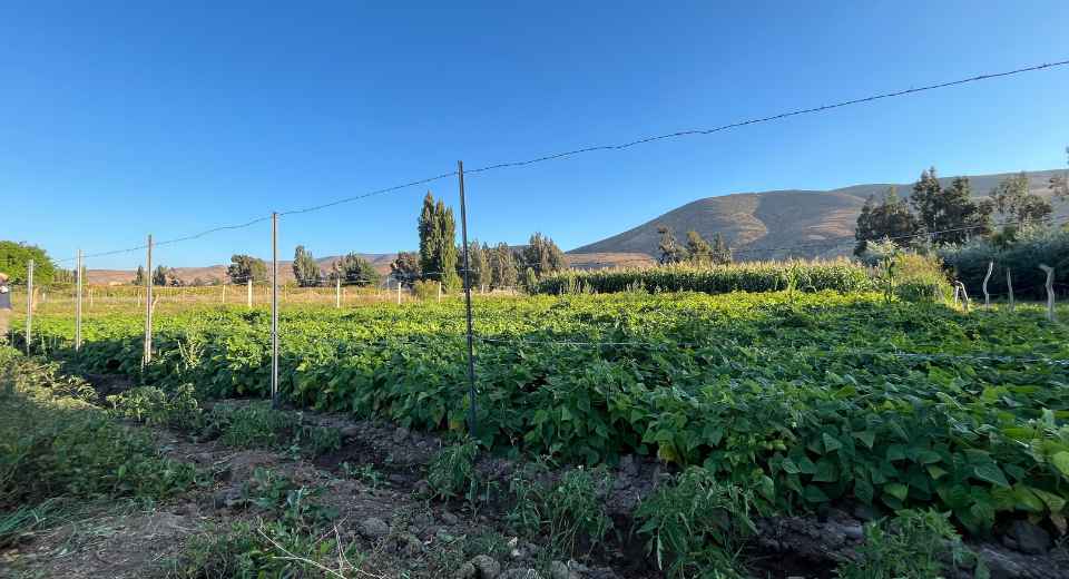 POSTE AZA impulsa la eficiencia en el agro chileno