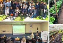 Productoras de Quintero y Puchuncaví demuestran con proyecto FIA que es posible producir hortalizas y flores con bajo contenido de metales pesados