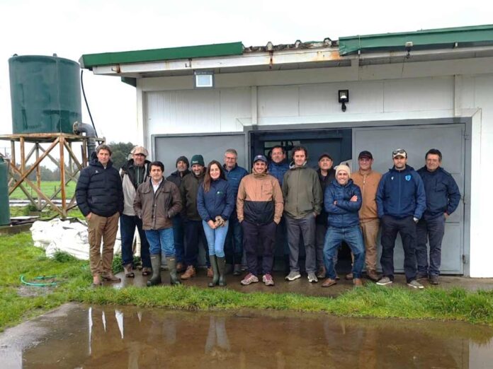 Productores lecheros uruguayos visitan INIA Remehue