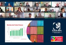 COLSA articula el éxito logístico: Puerto San Antonio listo para superar las 64,5 millones de cajas de cerezas de la temporada pasada COLSA articula el éxito logístico: Puerto San Antonio listo para superar las 64,5 millones de cajas de cerezas de la temporada pasada